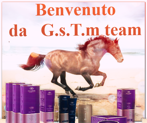 G.s.T.m Team 
